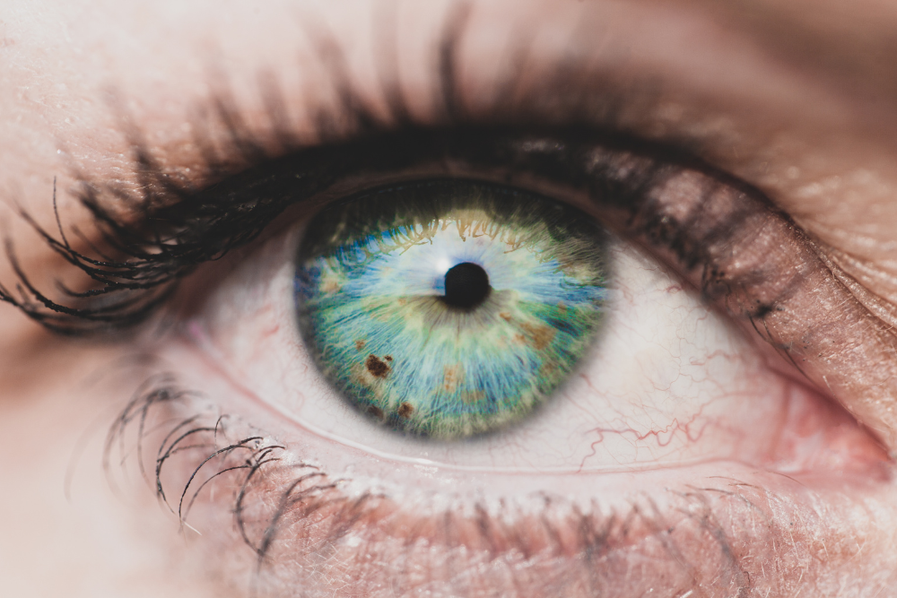 diseases cornea